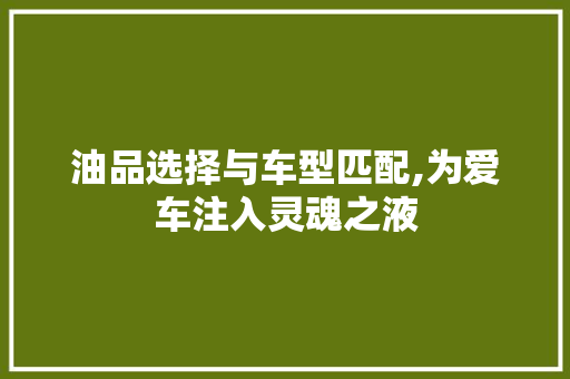 油品选择与车型匹配,为爱车注入灵魂之液