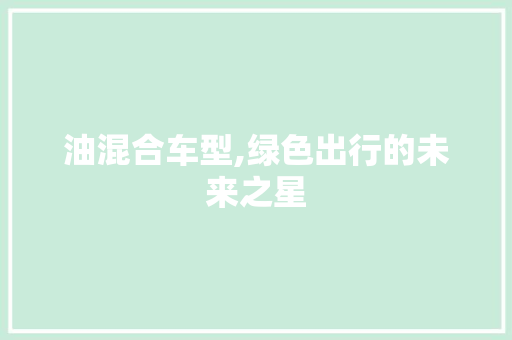 油混合车型,绿色出行的未来之星