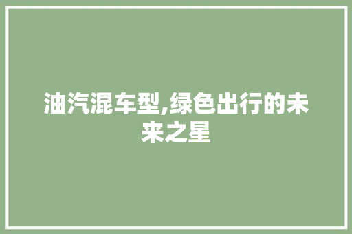 油汽混车型,绿色出行的未来之星