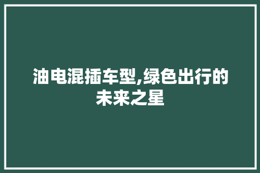 油电混插车型,绿色出行的未来之星
