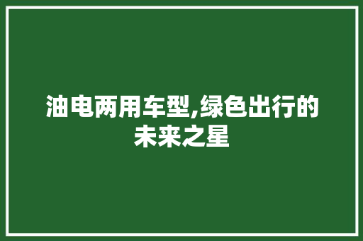 油电两用车型,绿色出行的未来之星