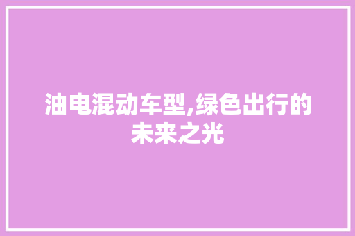 油电混动车型,绿色出行的未来之光