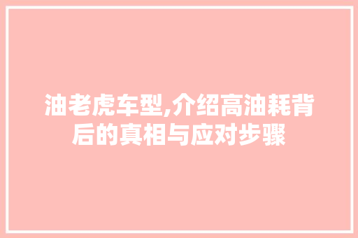油老虎车型,介绍高油耗背后的真相与应对步骤
