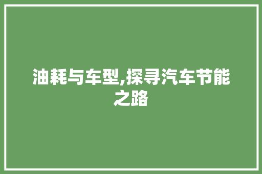 油耗与车型,探寻汽车节能之路
