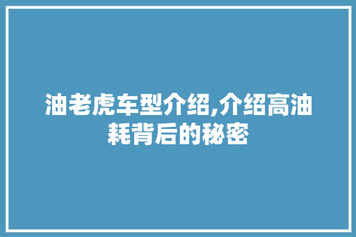 油老虎车型介绍,介绍高油耗背后的秘密