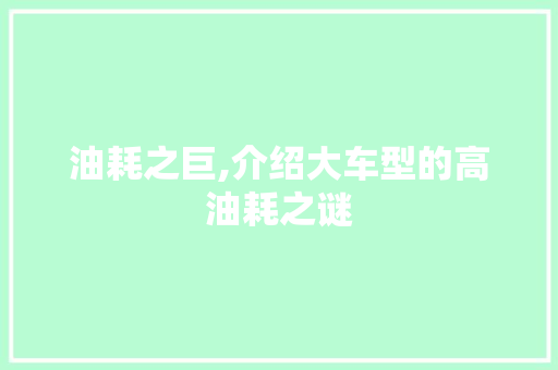 油耗之巨,介绍大车型的高油耗之谜