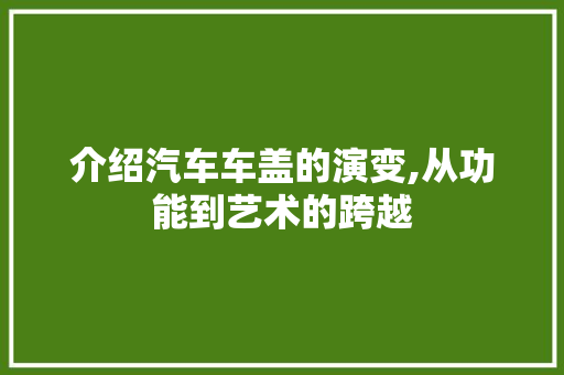 介绍汽车车盖的演变,从功能到艺术的跨越 变速箱配件
