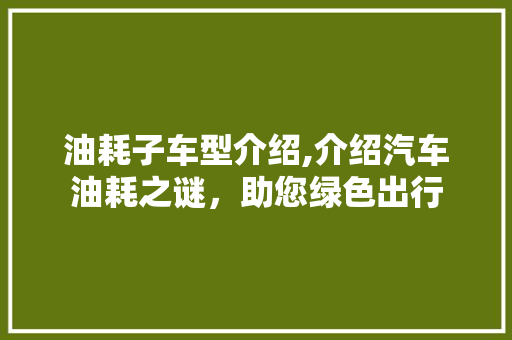 油耗子车型介绍,介绍汽车油耗之谜，助您绿色出行