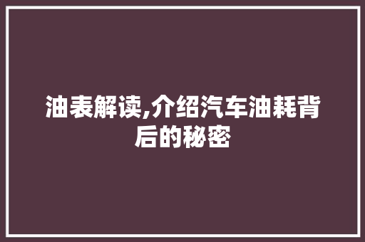 油表解读,介绍汽车油耗背后的秘密