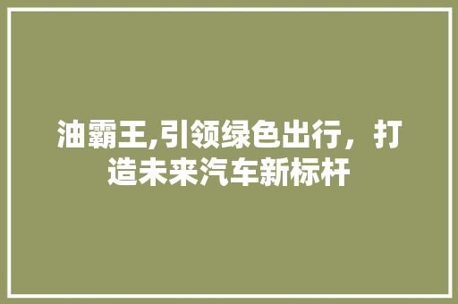 油霸王,引领绿色出行，打造未来汽车新标杆
