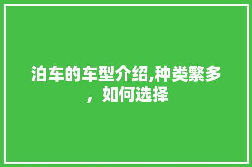泊车的车型介绍,种类繁多，如何选择