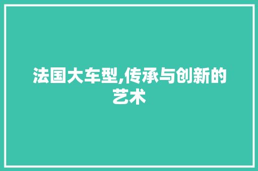 法国大车型,传承与创新的艺术