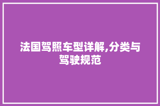 法国驾照车型详解,分类与驾驶规范