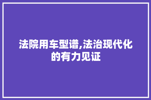 法院用车型谱,法治现代化的有力见证