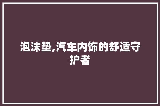 泡沫垫,汽车内饰的舒适守护者