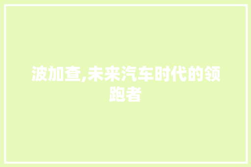 波加查,未来汽车时代的领跑者