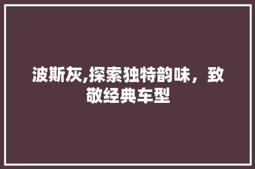 波斯灰,探索独特韵味，致敬经典车型