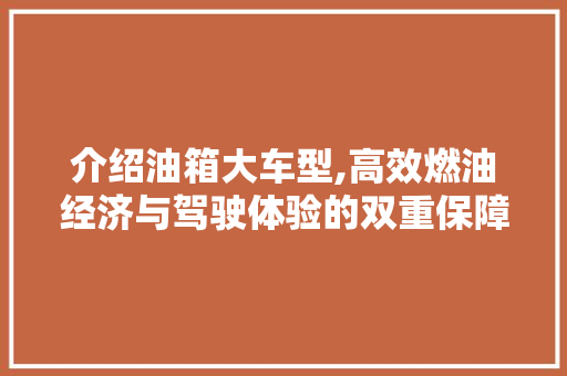介绍油箱大车型,高效燃油经济与驾驶体验的双重保障