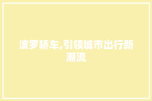 波罗轿车,引领城市出行新潮流