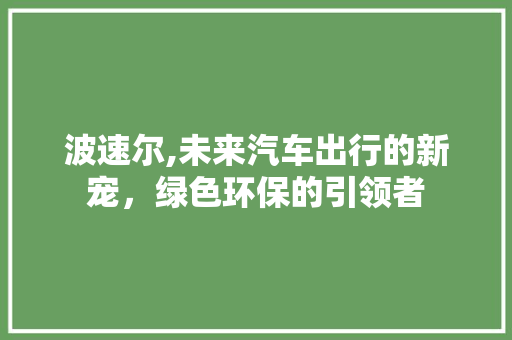 波速尔,未来汽车出行的新宠，绿色环保的引领者