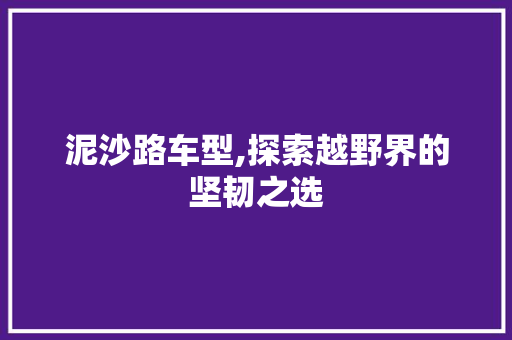 泥沙路车型,探索越野界的坚韧之选