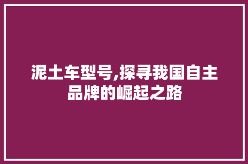 泥土车型号,探寻我国自主品牌的崛起之路