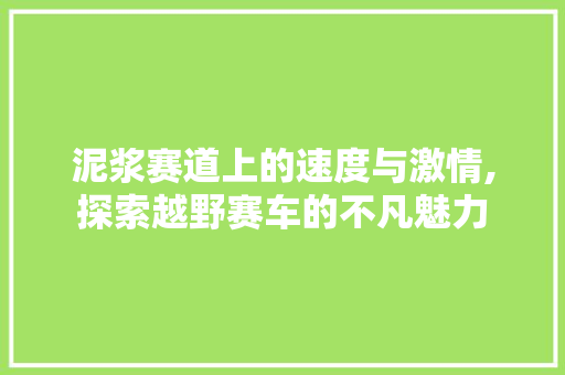 泥浆赛道上的速度与激情,探索越野赛车的不凡魅力