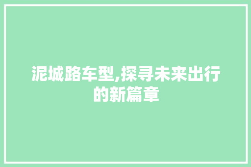 泥城路车型,探寻未来出行的新篇章