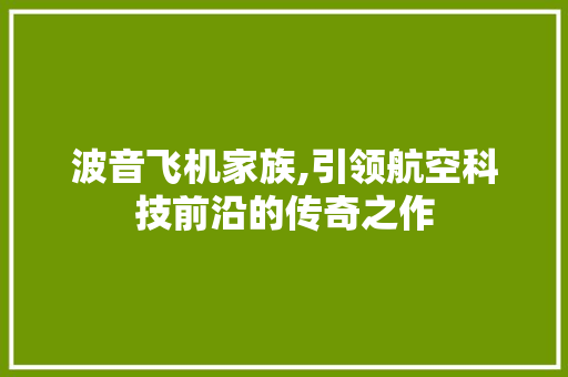 波音飞机家族,引领航空科技前沿的传奇之作