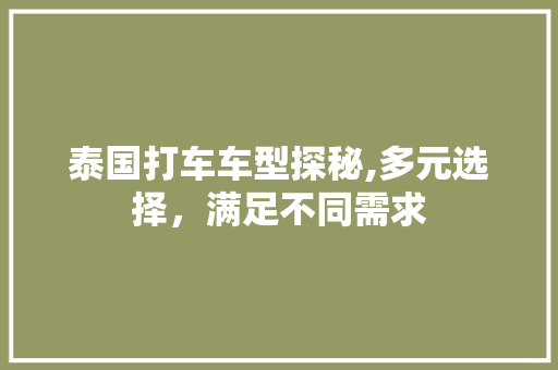 泰国打车车型探秘,多元选择，满足不同需求