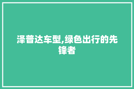 泽普达车型,绿色出行的先锋者