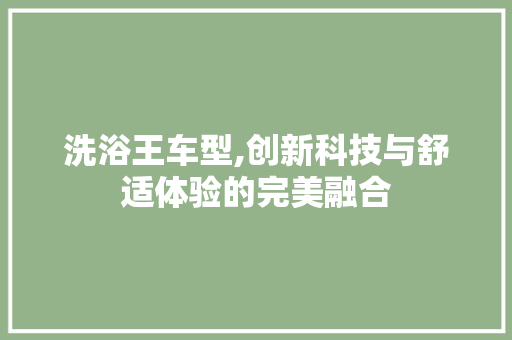 洗浴王车型,创新科技与舒适体验的完美融合