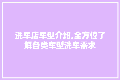 洗车店车型介绍,全方位了解各类车型洗车需求
