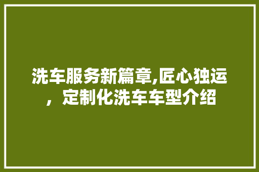 洗车服务新篇章,匠心独运，定制化洗车车型介绍