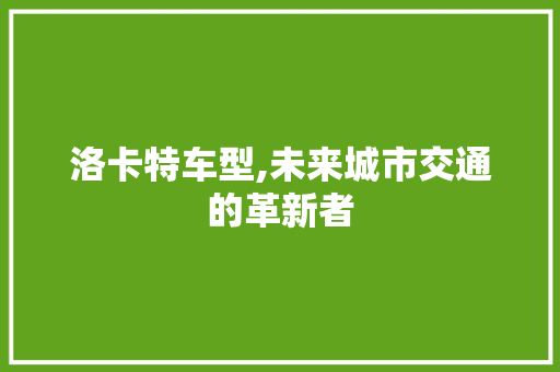 洛卡特车型,未来城市交通的革新者
