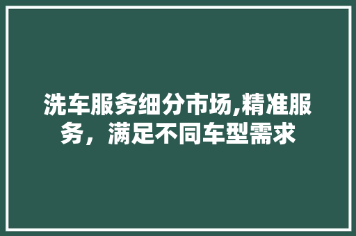 洗车服务细分市场,精准服务，满足不同车型需求