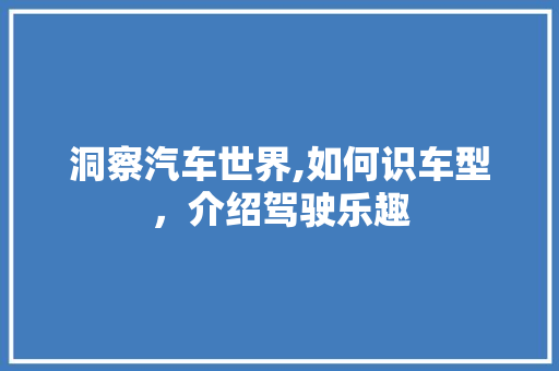 洞察汽车世界,如何识车型，介绍驾驶乐趣