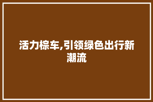 活力棕车,引领绿色出行新潮流