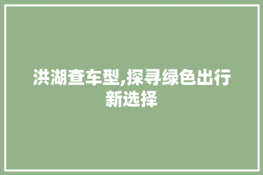 洪湖查车型,探寻绿色出行新选择