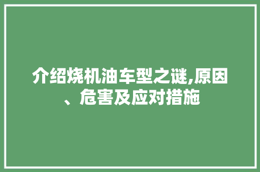 介绍烧机油车型之谜,原因、危害及应对措施