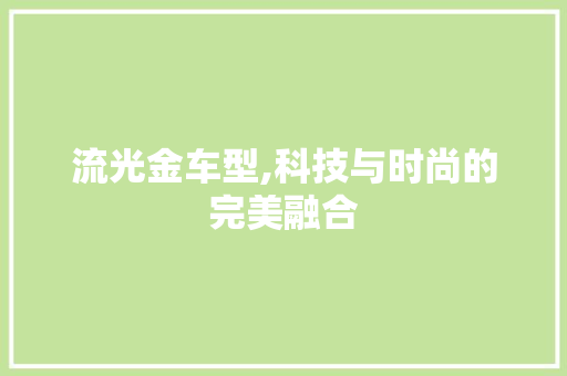 流光金车型,科技与时尚的完美融合
