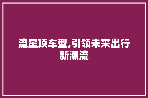 流星顶车型,引领未来出行新潮流