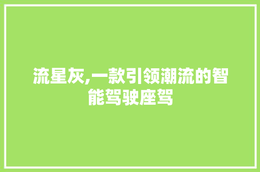 流星灰,一款引领潮流的智能驾驶座驾