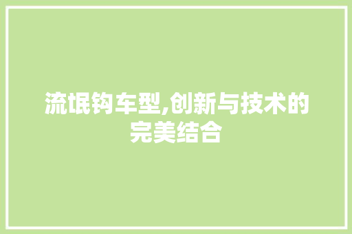 流氓钩车型,创新与技术的完美结合