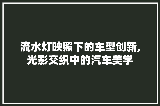 流水灯映照下的车型创新,光影交织中的汽车美学
