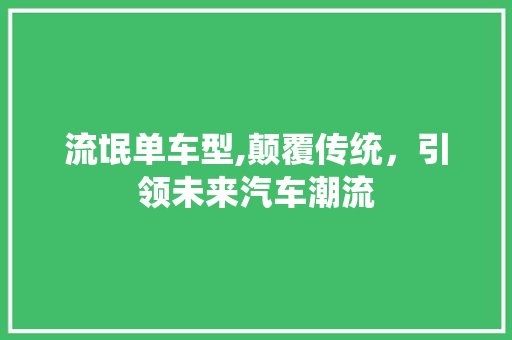 流氓单车型,颠覆传统，引领未来汽车潮流