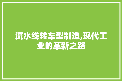 流水线转车型制造,现代工业的革新之路