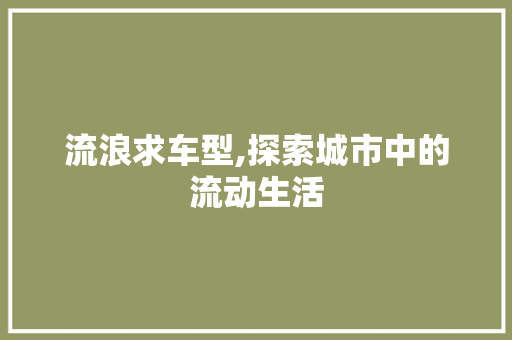 流浪求车型,探索城市中的流动生活