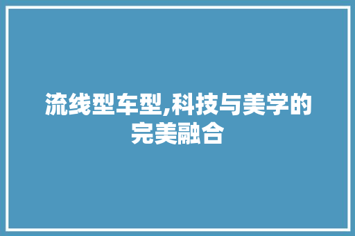流线型车型,科技与美学的完美融合
