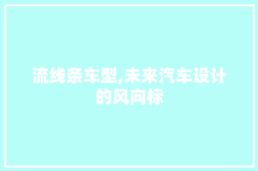 流线条车型,未来汽车设计的风向标